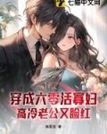 穿成六零活寡妇，高冷老公又脸红