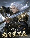 九霄星陨录，