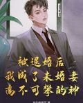 被退婚后，我成了未婚妻高不可攀的神！