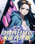 海贼王燃烧米霍克加点