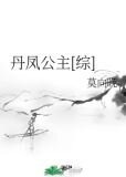丹凤公主[综]