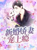 小说夜少撩妻成瘾女主角沈翘