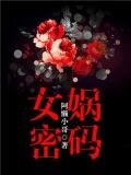 女娲密码