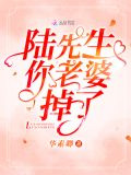 陆先生你老婆掉了