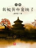 三国：我被黄巾裹挟了