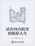 活在四合院里的精彩人生 有点暴躁的胖子