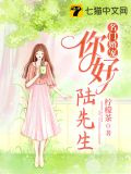 名门婚宠：你好，陆先生