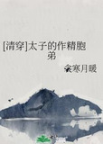 [清穿]太子的作精胞弟