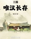 三国：唯汉长存！