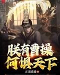 朕有曹操，何惧天下