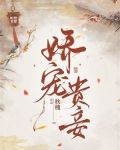 娇宠贵妾