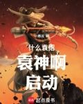 什么袁绍，袁神啊！启动！
