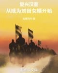复兴汉室，从成为刘备女婿开始